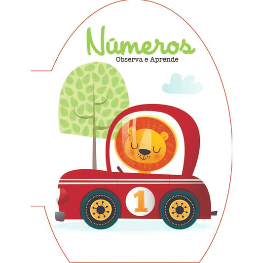 Números: Observa e Aprende
