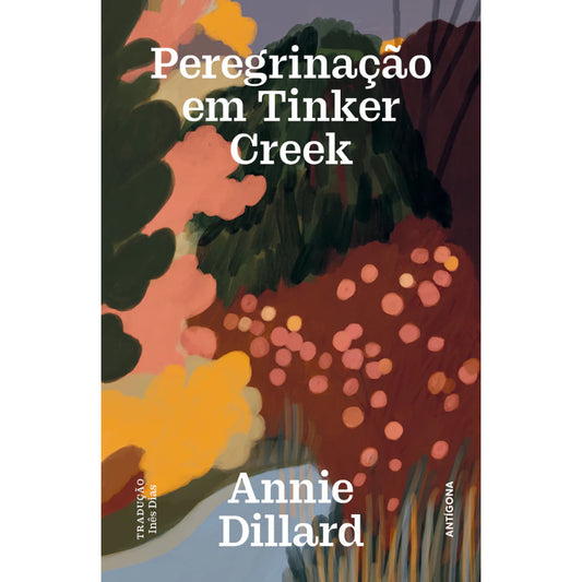 Peregrinação em Tinker Creek
