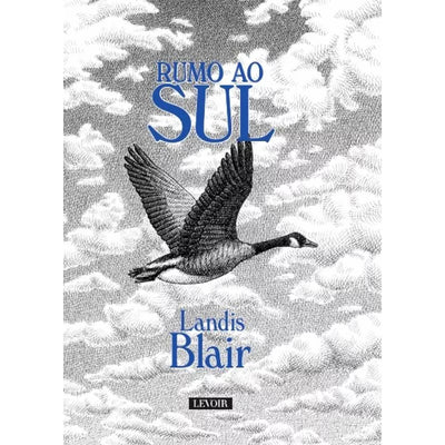 Rumo ao Sul