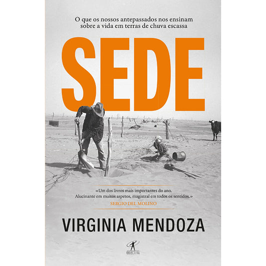 Sede