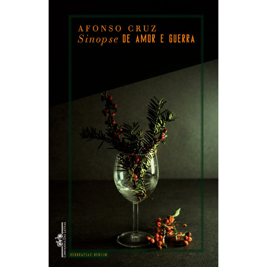 Sinopse de Amor e Guerra