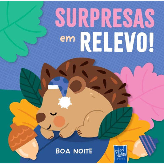 Surpresas em Relevo! Boa Noite