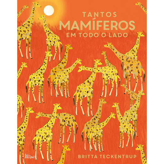 Tantos Mamíferos em Todo o Lado