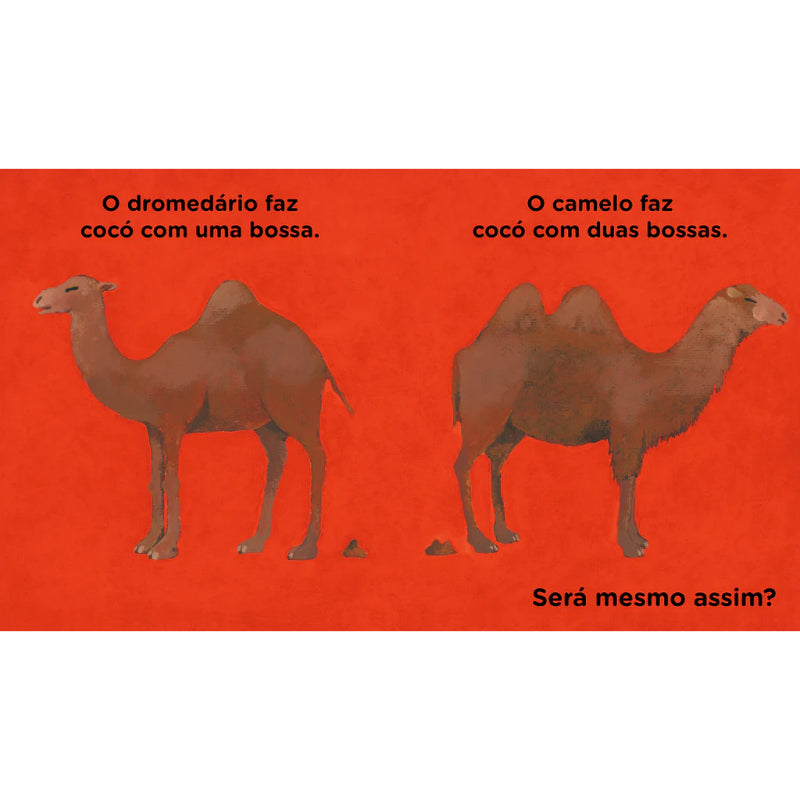 Todos Fazemos Cocó
