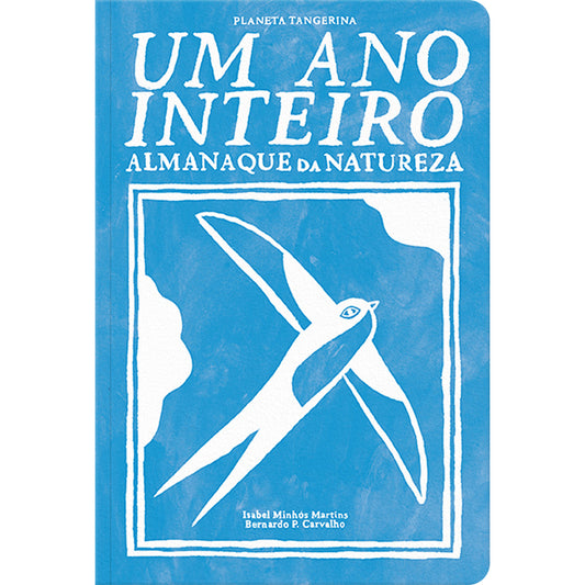 Um Ano Inteiro