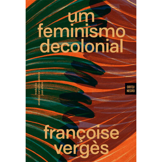 Um Feminismo Decolonial