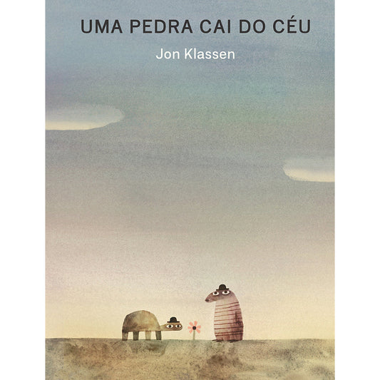 Uma Pedra Cai do Céu