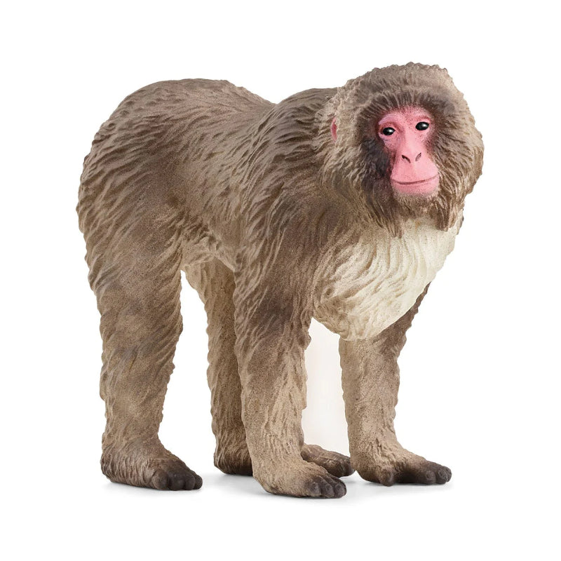 Schleich -  Macaco Japonês