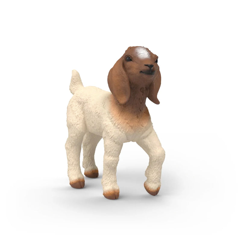 Schleich - Cabrito Boer