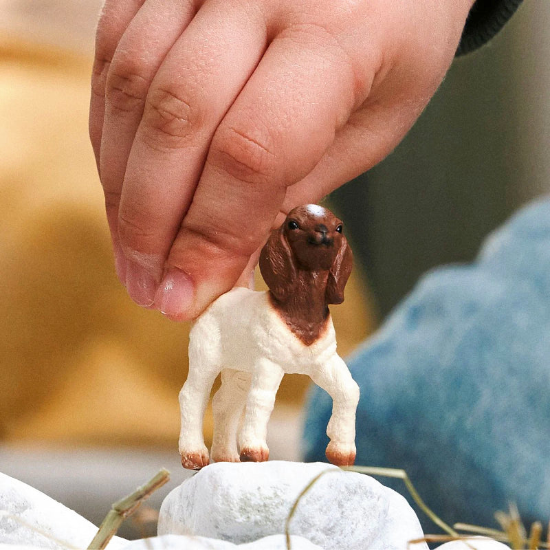 Schleich - Cabrito Boer