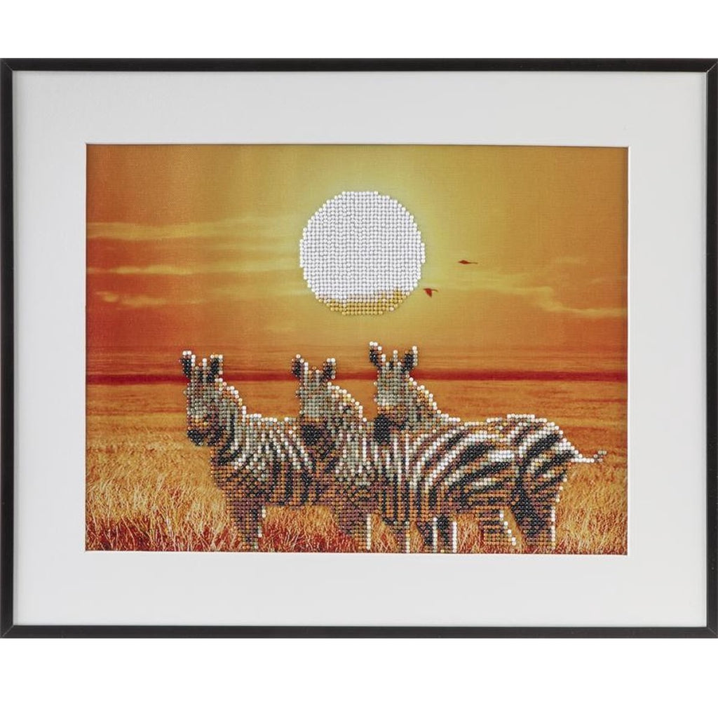 Quadro de Pintar Por Diamantes Zebras 40x50cm