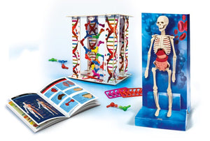 Jogo O Corpo Humano - 67186