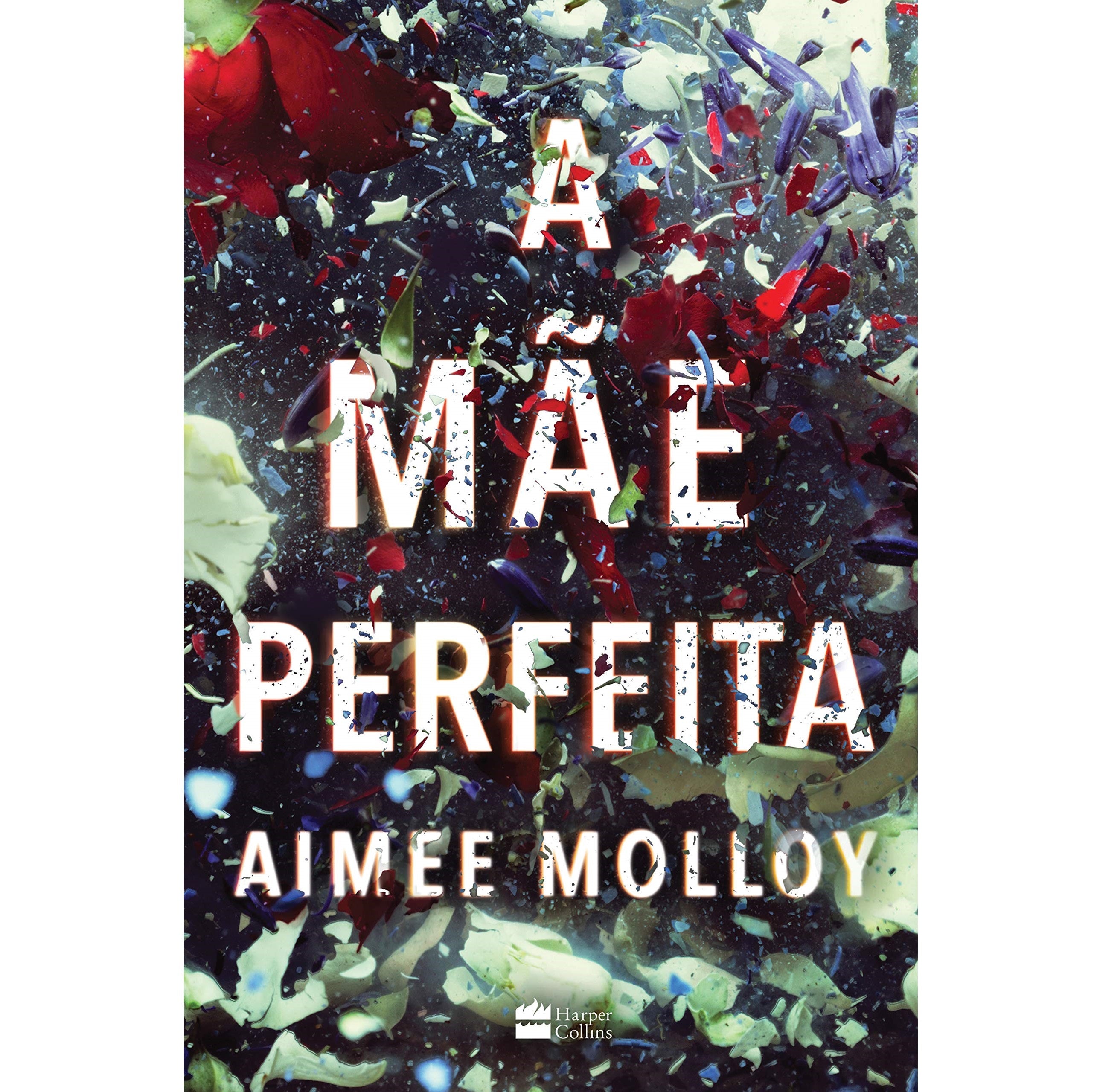 Uma Mãe Perfeita
