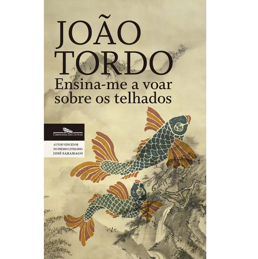 Ensina-me a Voar sobre os Telhados